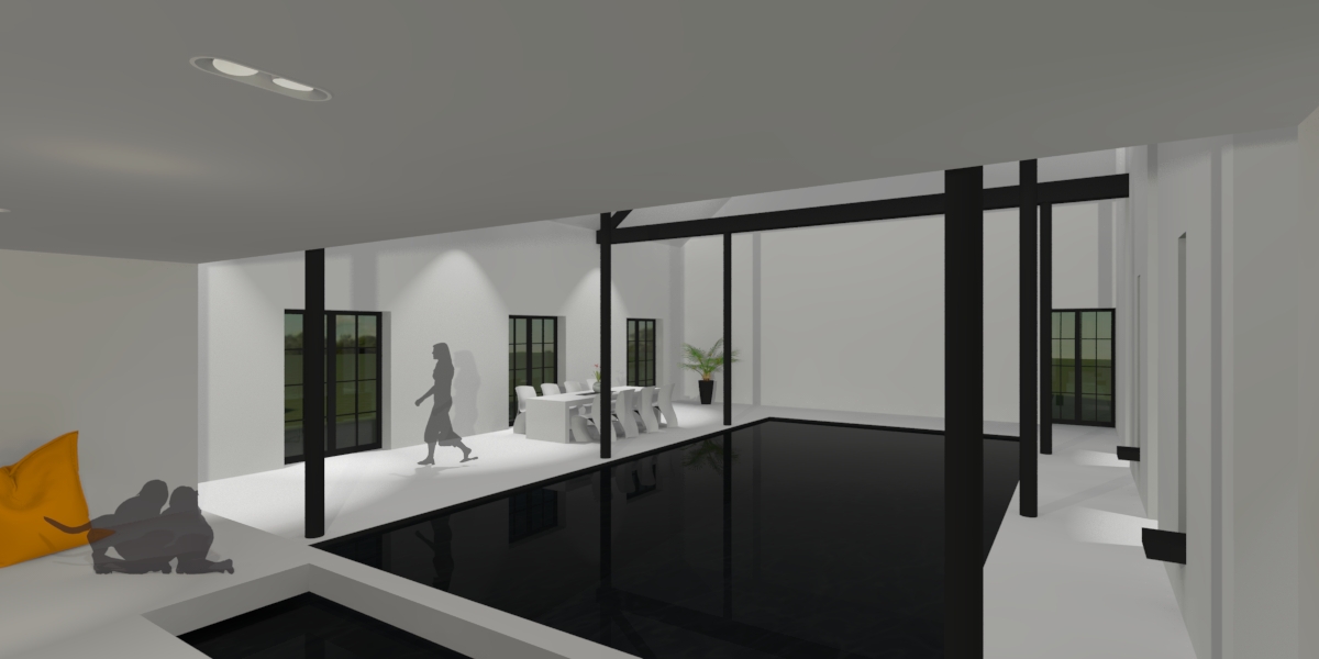 mgp-projet-bac-architects-renovation-ferme-piscine-lasne-black-swimming-pool